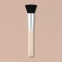 SPF Brush